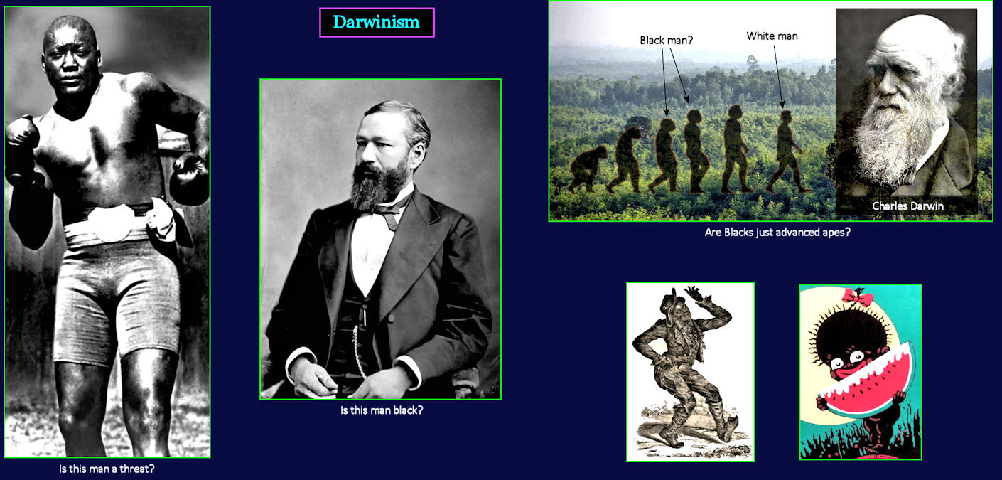 Darwinism and Jim Crow, 1920s